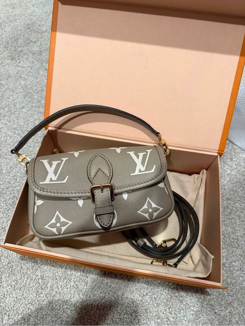 Louis Vuitton nano Diane